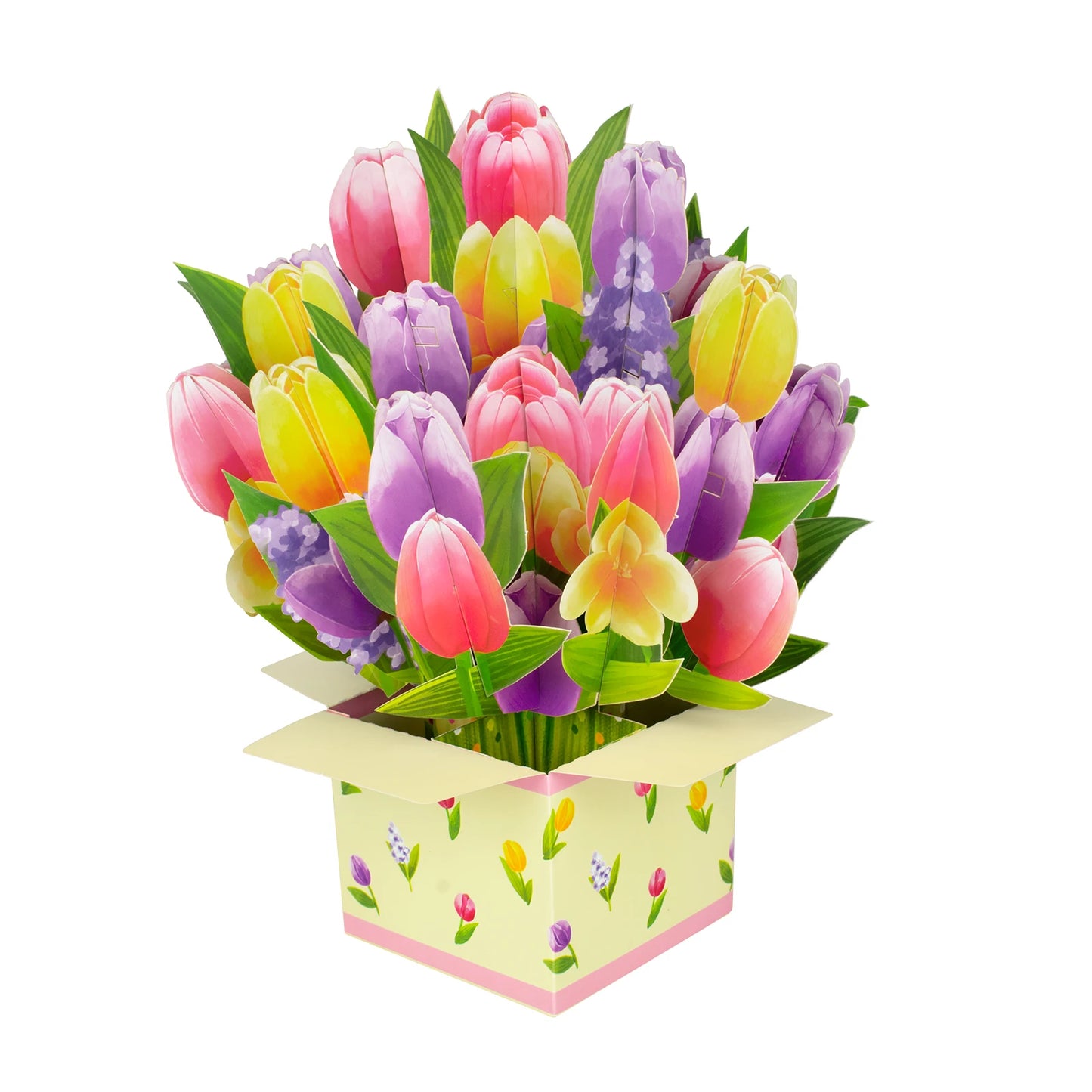 Tulip Pop Up Box